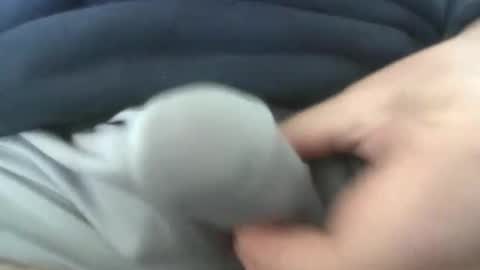 gr8head online show from 04-07-26, 03:01