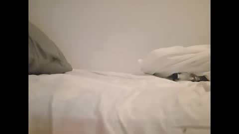 Snapshot of greekprince77 chatting on 03-02-26, 12:56 greekprince77 online show from 03-02-26, 12:56