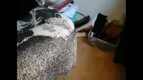 Snapshot of gregorius_1 chatting on 01-21-25, 09:46 Greg online show from 01-21-25, 09:46