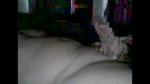 Snapshot of grittslappa chatting on 04-25-26, 12:02 grittslappa online show from 04-25-26, 12:02