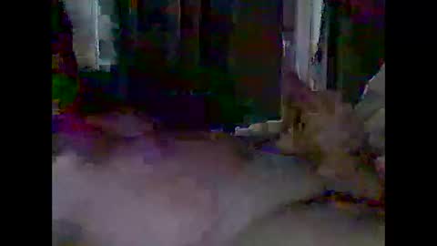 Snapshot of grittslappa chatting on 04-28-26, 03:00 grittslappa online show from 04-28-26, 03:00