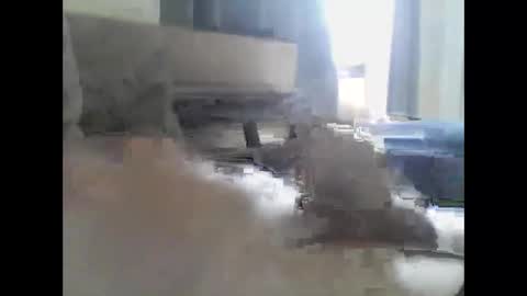 Snapshot of grittslappa chatting on 05-20-26, 03:02 grittslappa online show from 05-20-26, 03:02