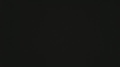 Groot online show from 01-05-26, 08:12