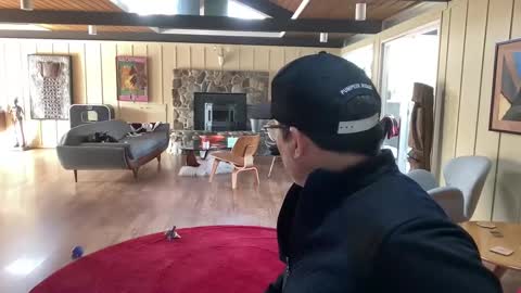 groovycouvie online show from 03-01-25, 10:42