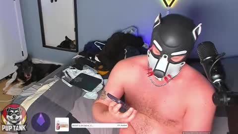 Alpha pup online show from 11-23-25, 07:35