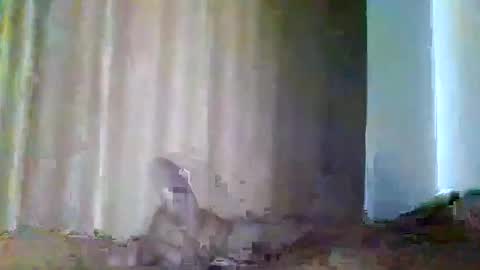 grupalenfection online show from 02-07-25, 01:53