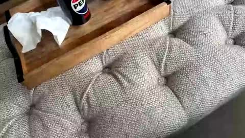 gt79802068 online show from 04-19-26, 12:48