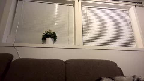 scandixxxs Cam online show from 10-20-25, 01:06