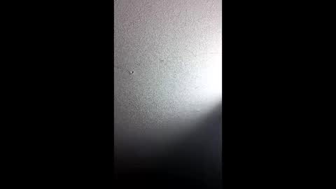 gudonoso online show from 12-16-25, 08:19