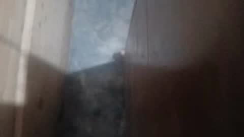 guidogomezcag online show from 07-26-26, 05:48