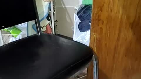 guillermo723 online show from 04-09-26, 02:33