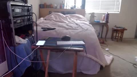 Mario online show from 02-15-26, 09:00