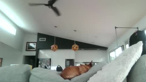 gumbyliscious online show from 01-18-26, 09:18