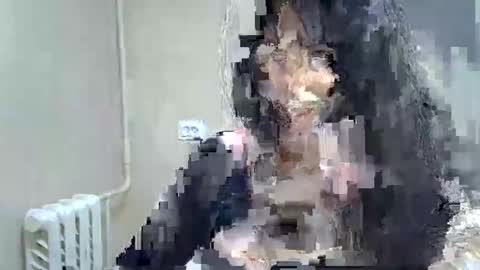 Snapshot of gusumah chatting on 02-22-25, 10:09 GusumAh online show from 02-22-25, 10:09