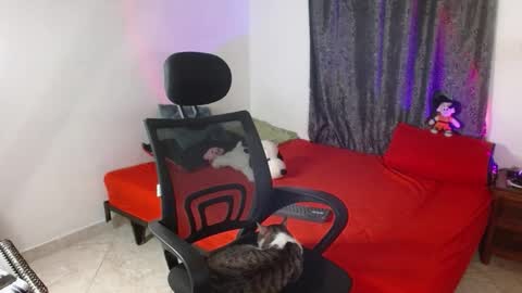 Snapshot of guts_x chatting on 11-25-25, 07:03 Guts online show from 11-25-25, 07:03