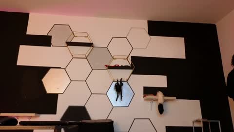 haileycat_ online show from 02-06-25, 02:33