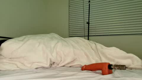 Snapshot of hailwilds chatting on 02-18-26, 11:33 HailWilds online show from 02-18-26, 11:33