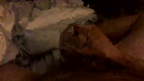 Bruce online show from 02-04-26, 03:45