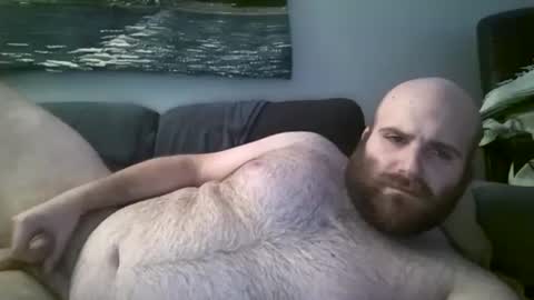 Hairiest Bear online show from 12-05-24, 05:59