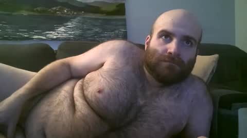 Hairiest Bear online show from 01-20-25, 03:59