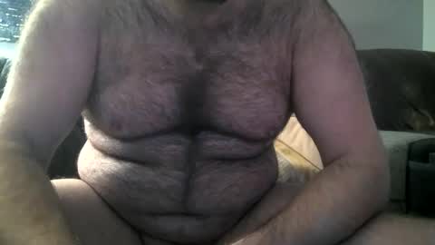 Hairiest Bear online show from 02-08-25, 10:39