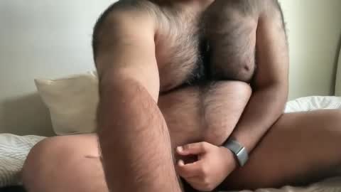 Snapshot of hairyaussie00 chatting on 12-04-24, 03:04 hairyaussie00 online show from 12-04-24, 03:04