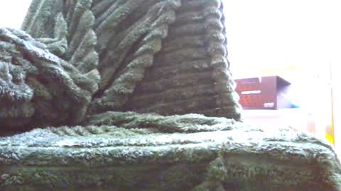 HairyHornyTwinkk online show from 11-14-25, 10:36