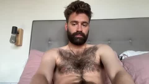 Snapshot of hairyhungbi69 chatting on 07-16-26, 03:51 hairyhungbi69 online show from 07-16-26, 03:51