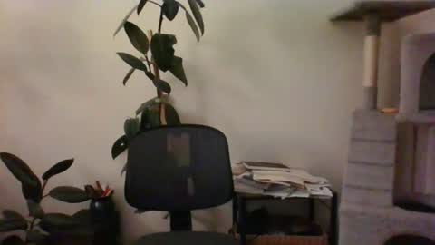 hairypussylover089 online show from 07-12-26, 04:36