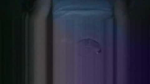 Kiss cocky online show from 10-11-25, 12:36