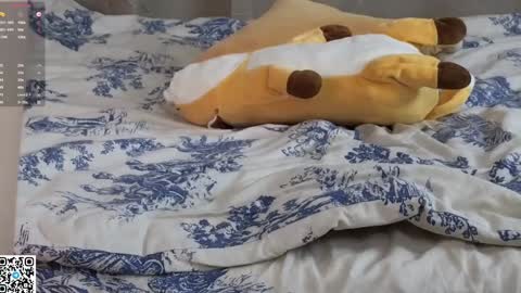 Nellie online show from 01-31-25, 06:02