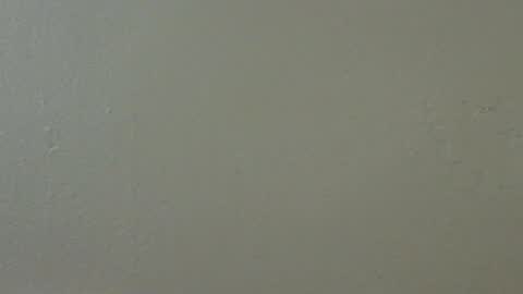 hamhead71 online show from 02-15-25, 05:41