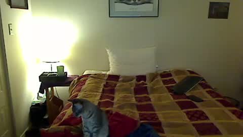 hammerthatthang73 online show from 11-04-25, 08:57