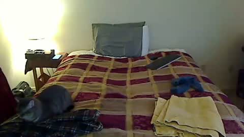 hammerthatthang73 online show from 03-24-26, 11:10