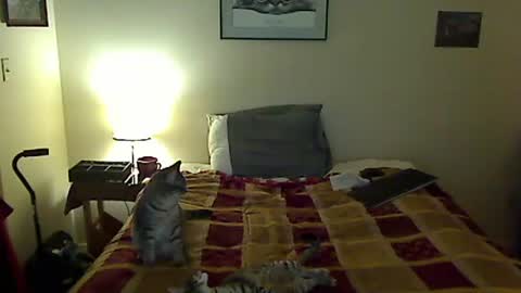 hammerthatthang73 online show from 03-30-26, 09:43