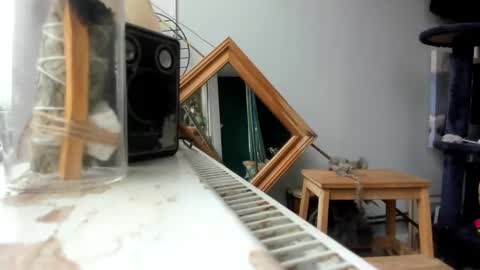 Snapshot of handncocknocum chatting on 02-19-25, 09:06 handncocknocum online show from 02-19-25, 09:06