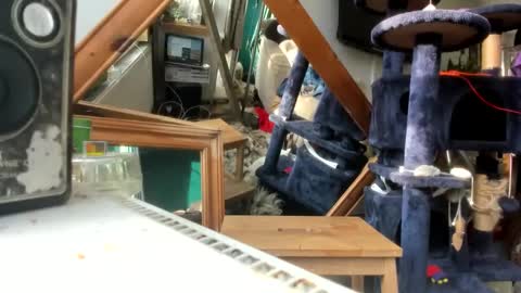 Snapshot of handncocknocum chatting on 03-09-25, 08:18 handncocknocum online show from 03-09-25, 08:18