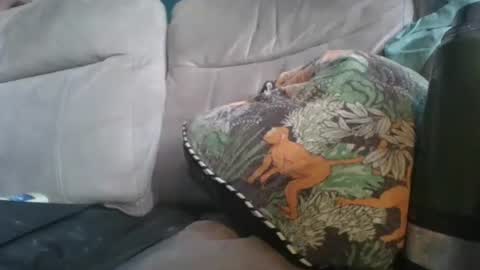 handncocknocum online show from 01-06-26, 08:51