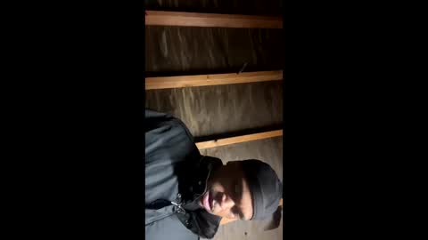 handsomeda1 online show from 01-19-25, 06:31