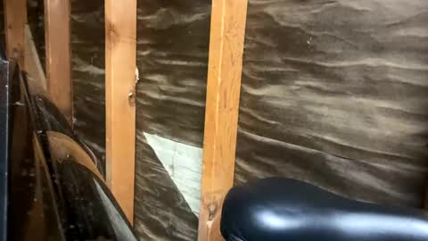 handsomeda1 online show from 02-01-25, 02:47