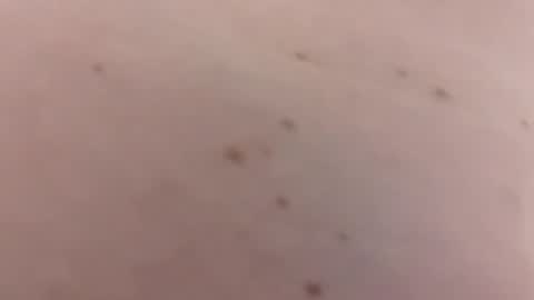 Snapshot of handsomerob42 chatting on 01-18-26, 06:23 handsomerob42 online show from 01-18-26, 06:23