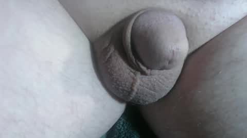 Handyman online show from 01-10-26, 02:19