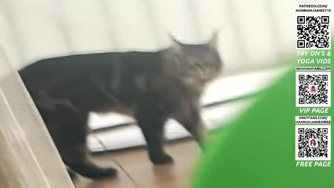 Hannah James online show from 04-03-26, 04:16