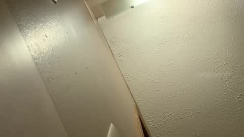 meatwad online show from 12-09-24, 06:14