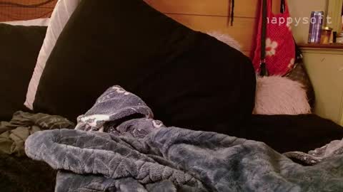 meatwad online show from 03-11-25, 11:33