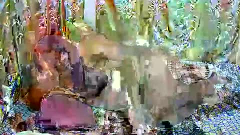 happysonia online show from 03-18-26, 08:06