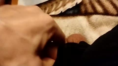 hardandhorny422 online show from 06-28-26, 01:44
