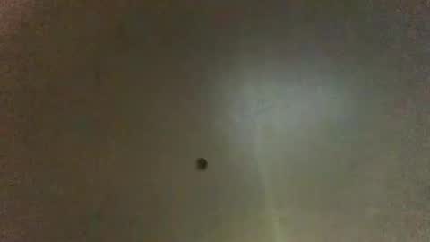 For You online show from 03-11-25, 08:52