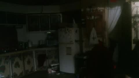 Snapshot of hardinhand44 chatting on 01-31-25, 03:09 john nobles online show from 01-31-25, 03:09