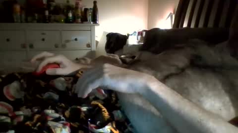 Snapshot of hardnick696 chatting on 02-13-25, 03:39 hardnick696 online show from 02-13-25, 03:39